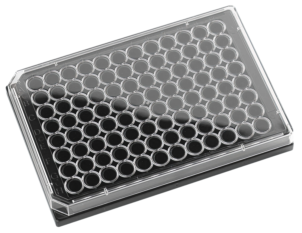 Glass Bottom Plates - AWLS-324021