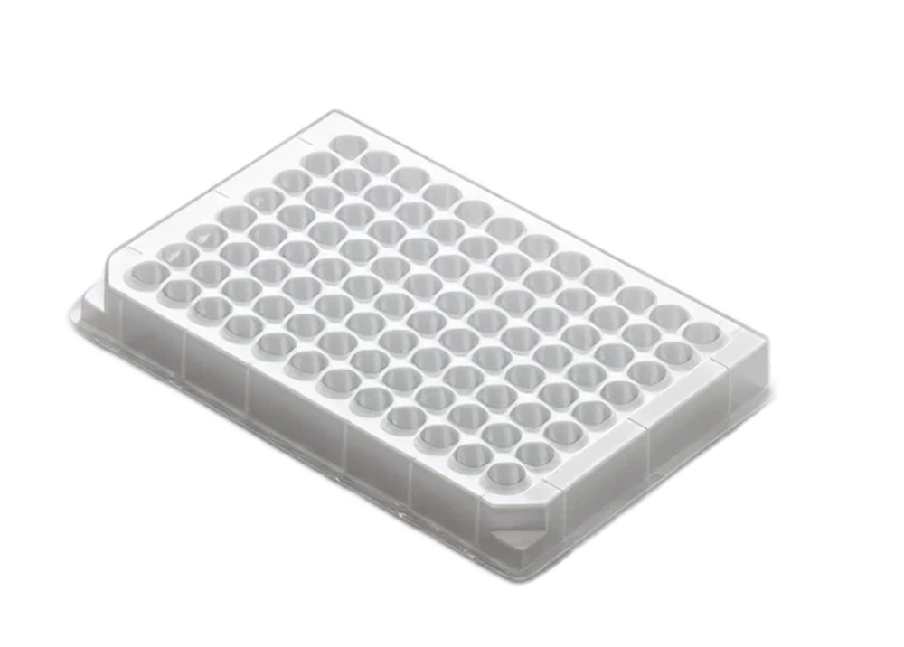 96-Well 0.5 mL Round Well Plate, Conical - AWLS-X10002