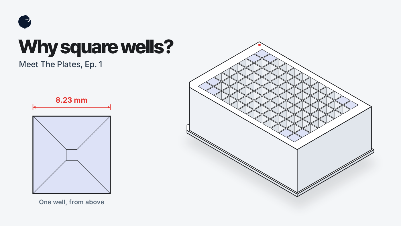 Line drawing of a 96 square deep well plate next to one square well seen from above, 8.23 mm wide