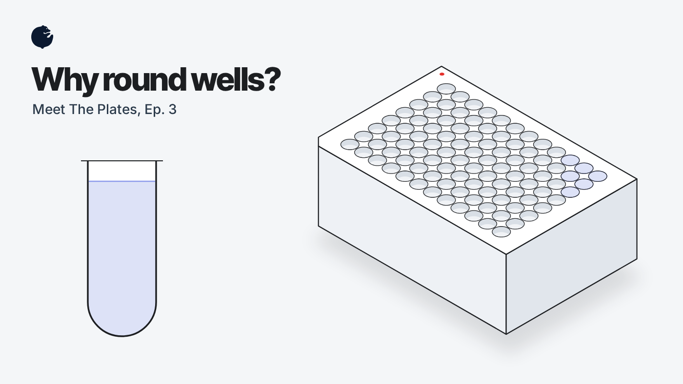 Why round wells? Meet The Plates Ep. 3: a round well with a U-shaped bottom next to a 96 round well deep well plate